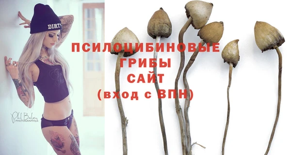 индика Абаза