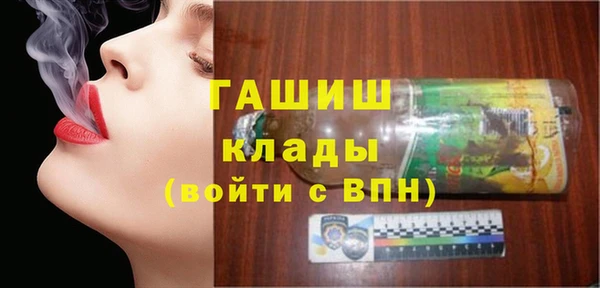 индика Абаза