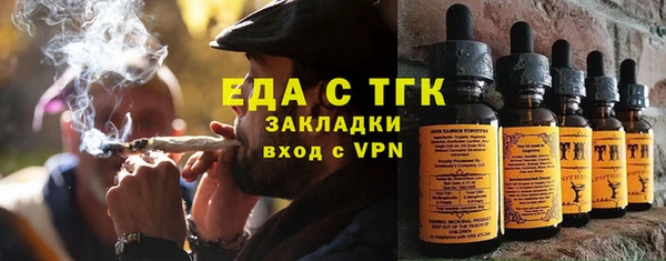 индика Абаза