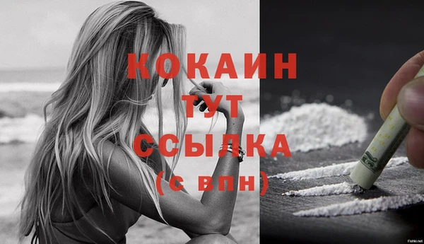 индика Абаза