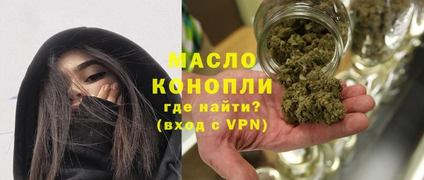 индика Абаза
