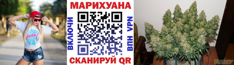 Канабис SATIVA & INDICA  купить  сайты  Великий Новгород 